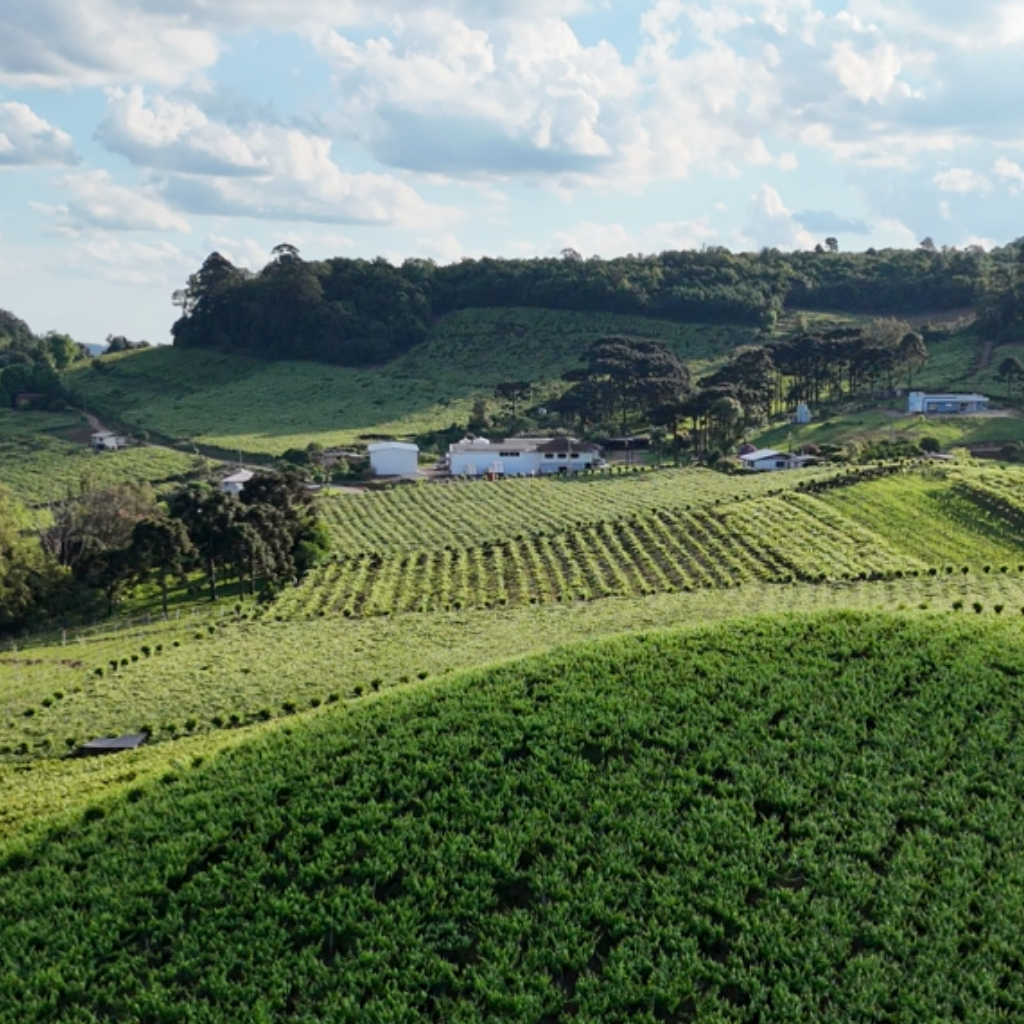 parreiral casa santini